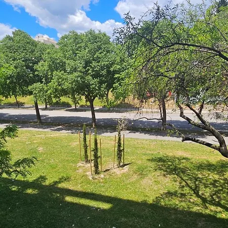 Apartment Duje I Luka *